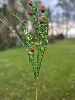 David Christopher Glittered Boxwood Berry Grass Spray Stem Christmas Pick